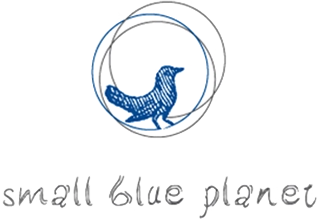 small blue planet logo hand drawn blue bird in circles